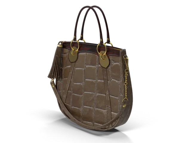 Bag 3D Modeling